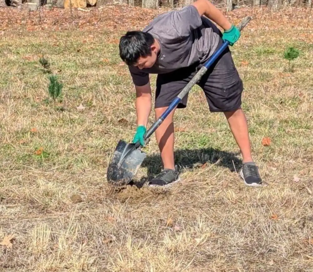 A student digging a planting hole with a spade in a grassy field