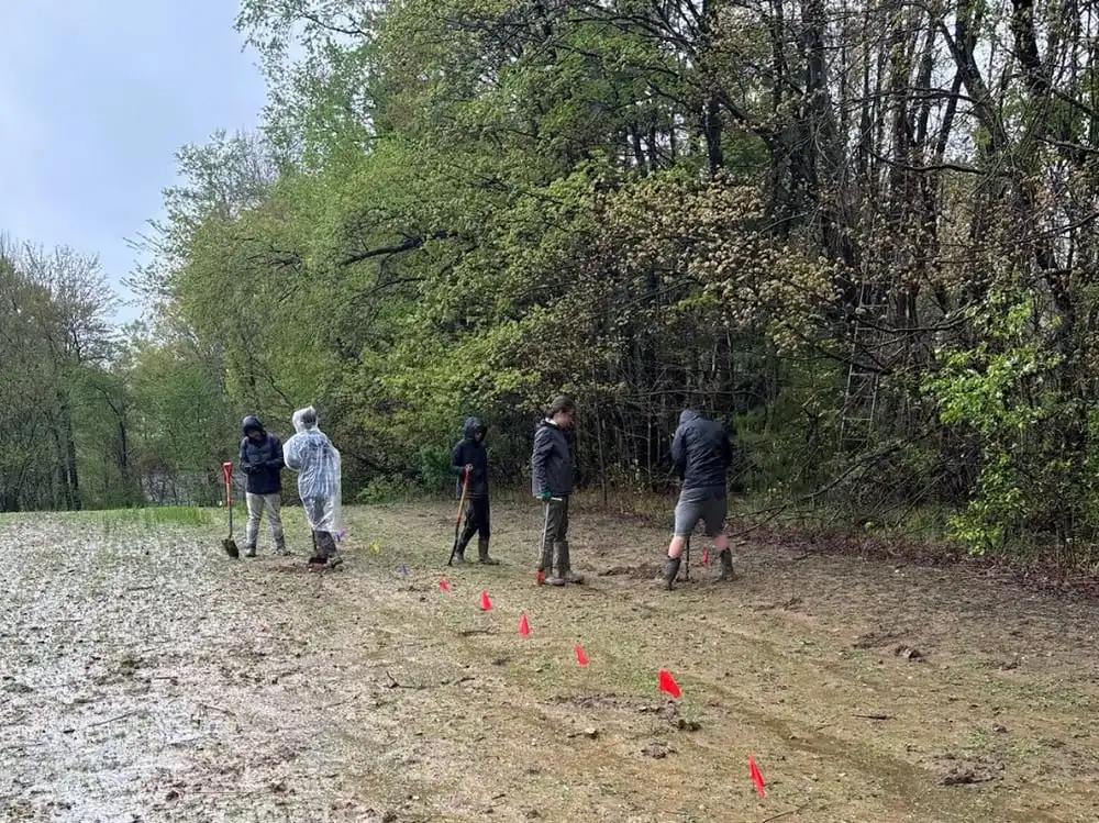 Volunteers in rain gear spread along a line of orange marker flags at the edge of the woods