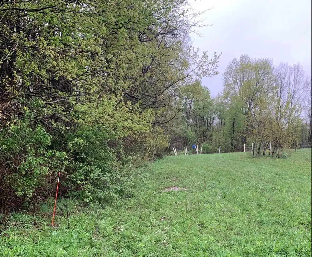 An orange marker flag along the tree line of a green field on a rainy spring day