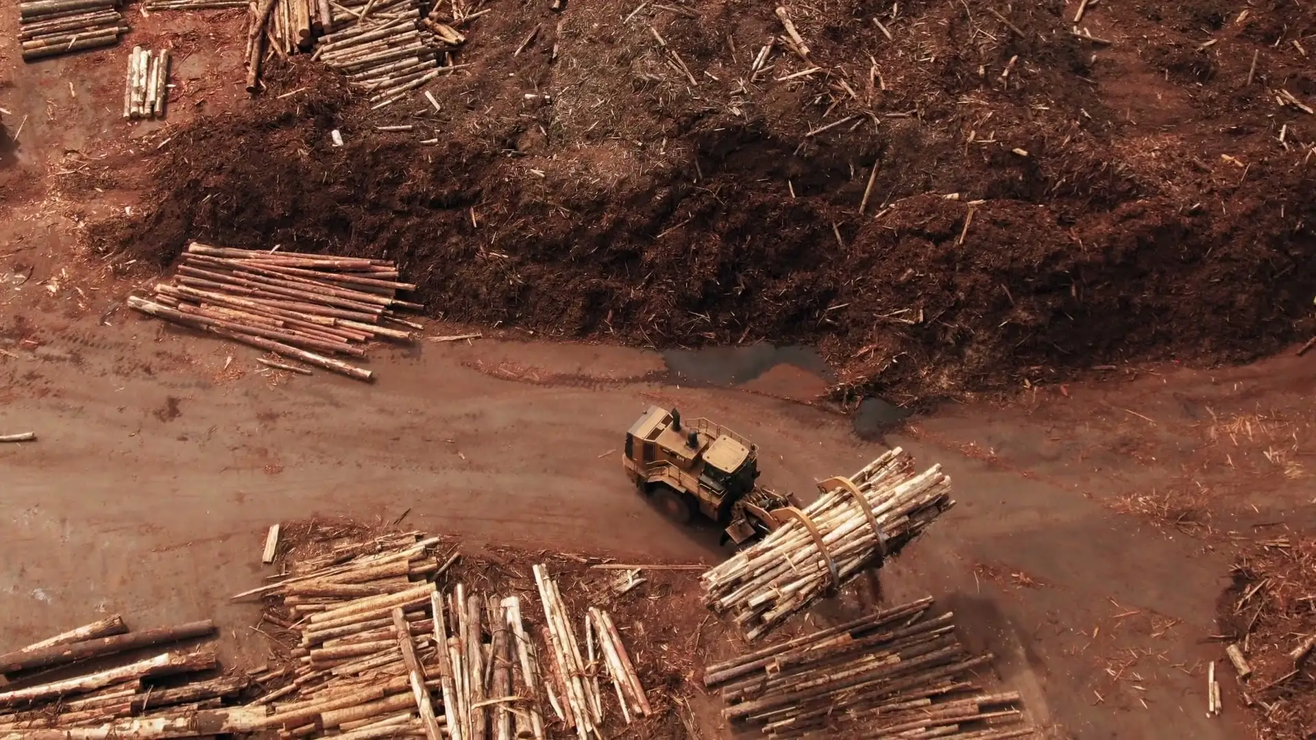Aerial view of a logging yard, with a loader carrying cut logs across bare red earth