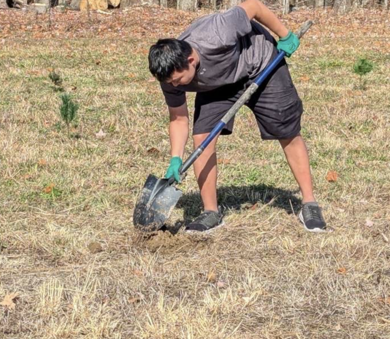 Roots of Tomorrow planting event