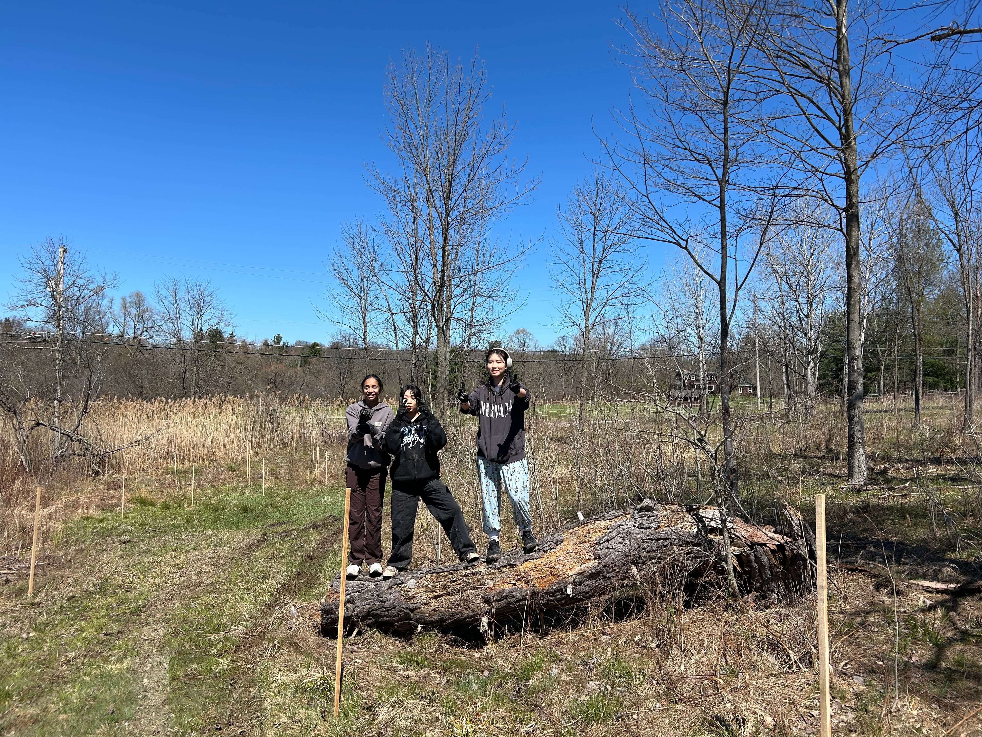 Roots of Tomorrow planting event