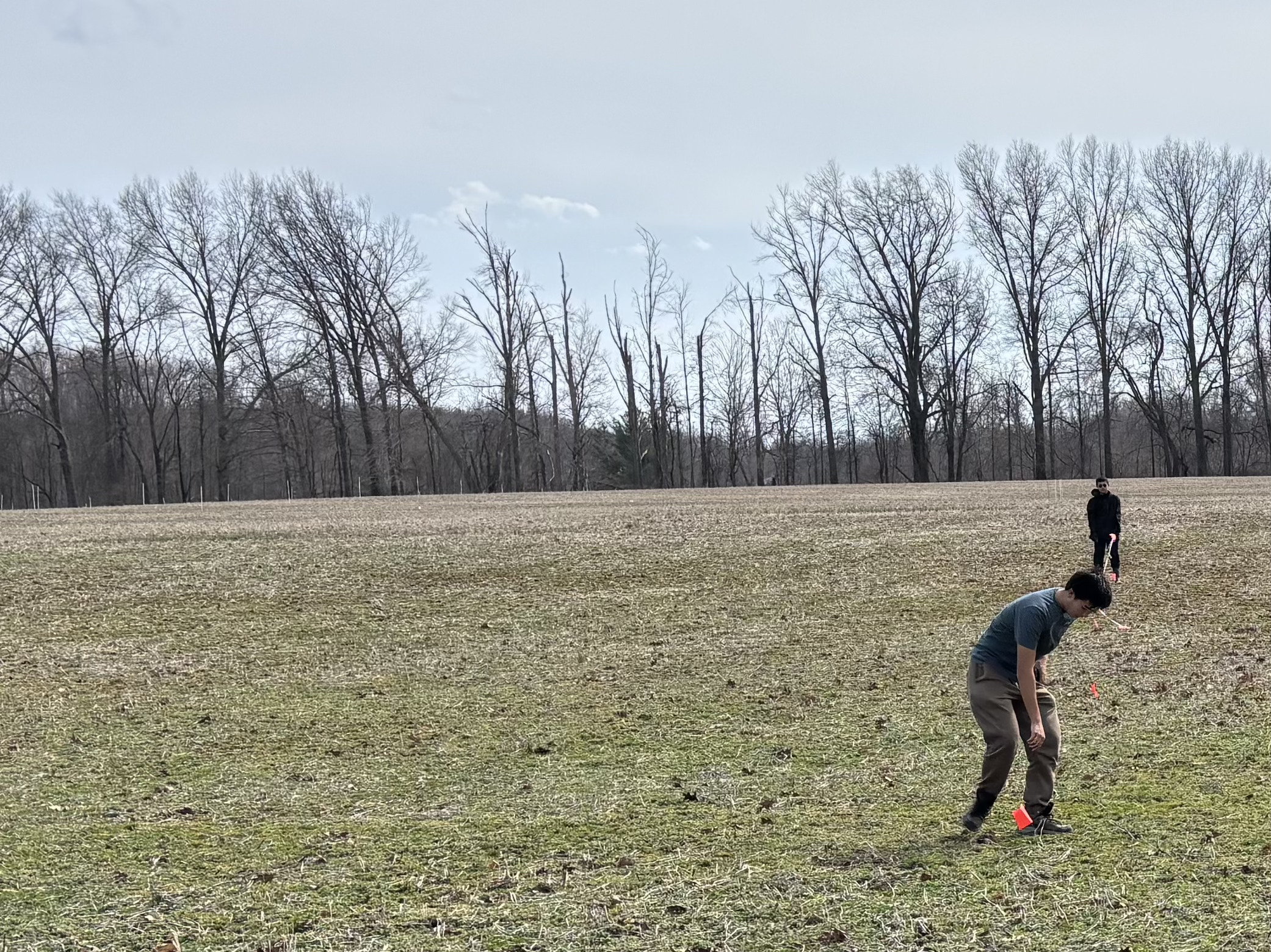 Students planting